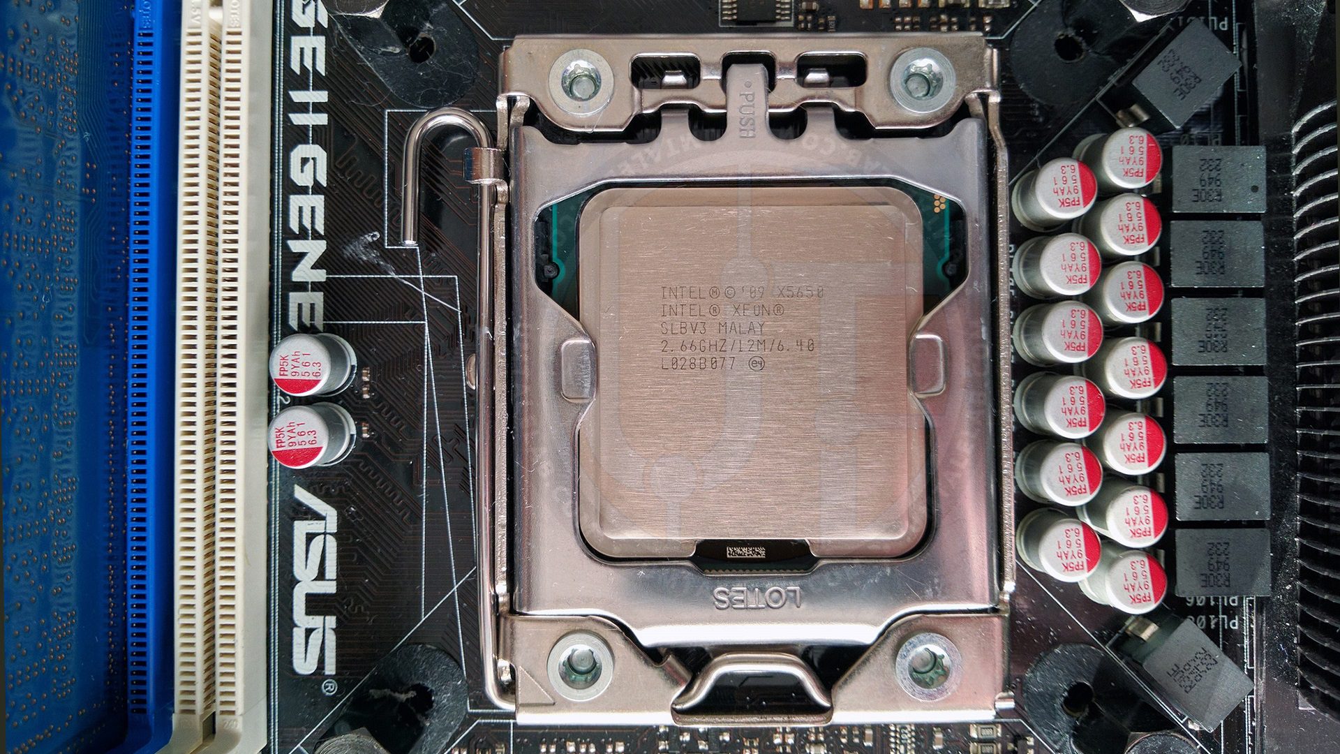 Xeon on sale x5650 socket